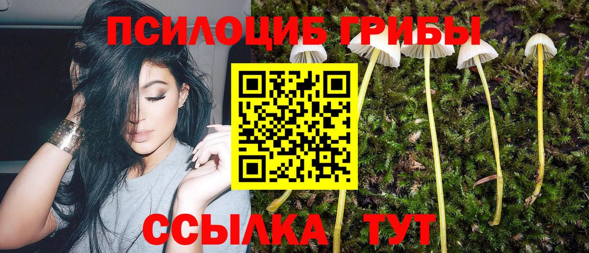 Сатка  Галлюциногенные грибы Cubensis  Вход с VPN 