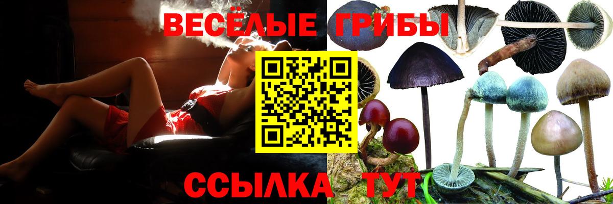 Галлюциногенные грибы Magic Shrooms Сатка