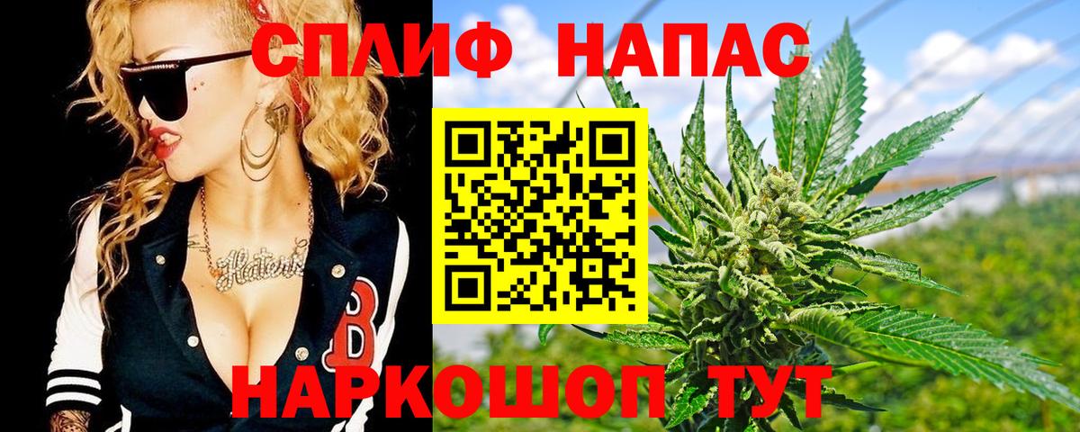 Конопля семена  Вход с VPN  Сатка  Канабис план 